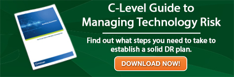 c-level-guide-to-managing-technology-risk-firstlight